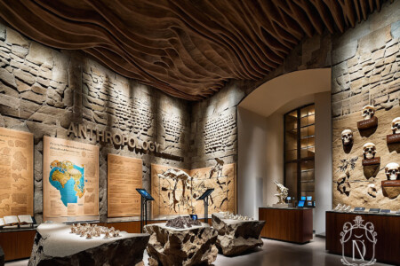 Anthropology museum gallery with sculptural carved-wood ceiling, rough stone walls and fossil displays on rock plinths